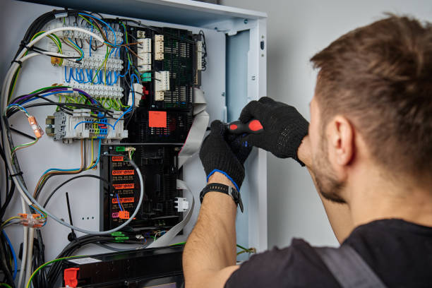 Licensed Electrical Panel Upgrade service in Trumansburg, NY - No Joke electrician